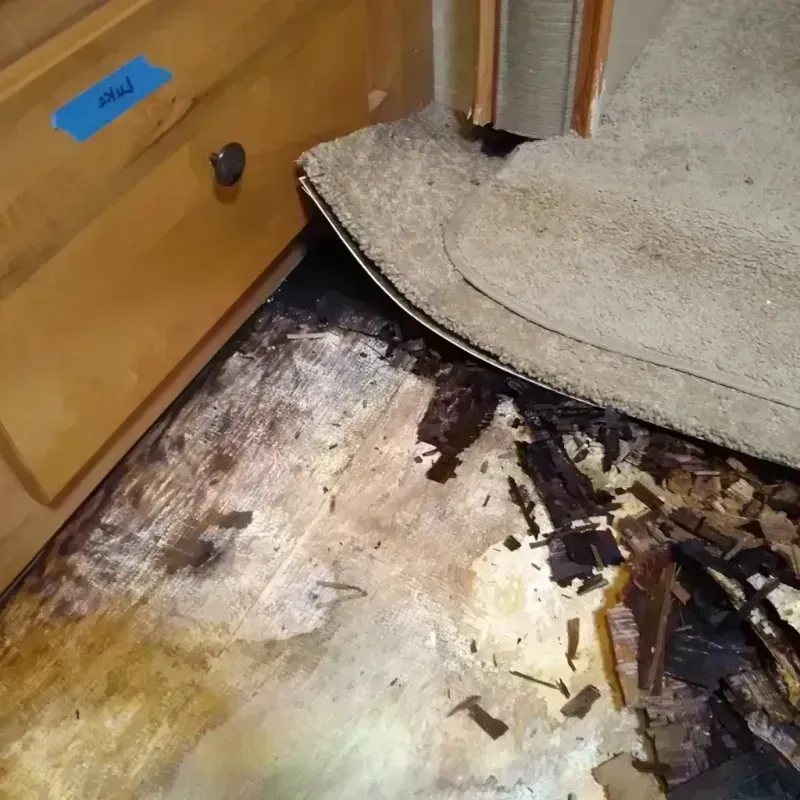 Wood Floor Water Damage in Deschutes River Woods, OR